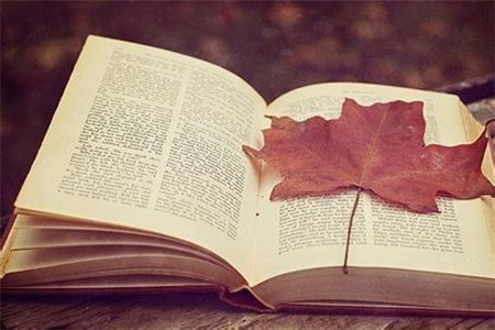2020年云南自考農(nóng)業(yè)生態(tài)基礎(chǔ)重點(diǎn)知識二