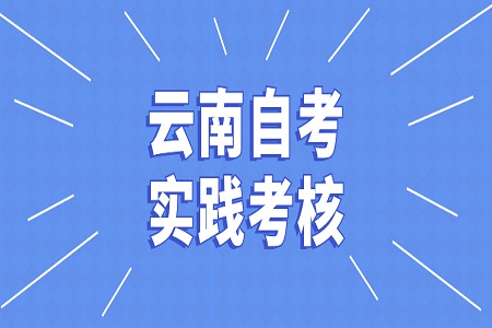 云南自考實(shí)踐考核